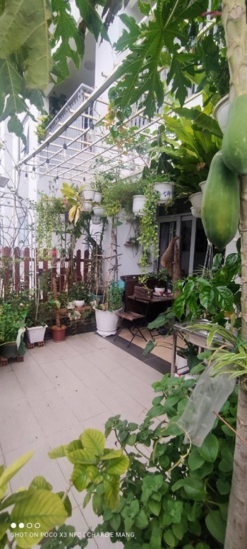 Bán rẻ căn hộ sân vườn riêng Lux Garden 93m2 đã có sổ hồng