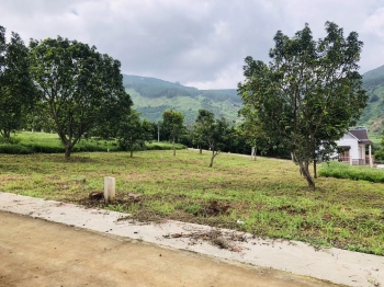 Cần bán lô đất đối diện UBND xã Đông Thanh ngang 11m sẵn thổ cư