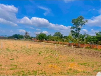 Gia đình cần bán lô đất 500m2 để trả nợ