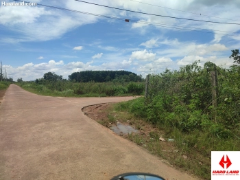 Bán 6.6 ha đất Phú Thanh, Huyện Tân Phú chính chủ giá 260 triệu/ sào