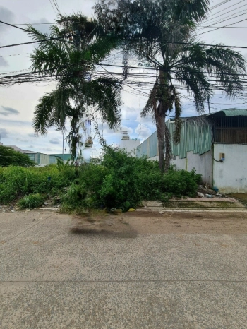 Chính chú bán gấp gấp nền đất 71m2 Bình Tân, đường trước nhà 25m, sổ riêng, xây tự do