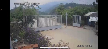 Cần Cho thuê nhà xưởng  15000m2, mới, đẹp rẻ, PCCC đủ,  35k/m2 tại Phúc Tiến ,Kỳ Sơn ,Hòa Bình