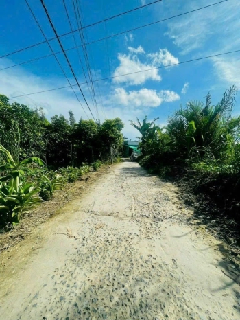 Cần Bán đất tại Tân Thới ,Phong Điền ,Cần Thơ