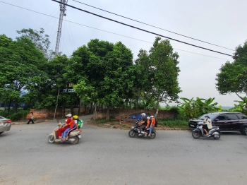 Cho thuê đất diện tích 317m2 tại Thị Trấn Hợp Hòa ,Tam Dương ,Vĩnh Phúc