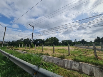 ???? Hàng Hiếm 23.47x24.88(514,7m2) Thống Nhất Tân An Lagi Giá Rẻ