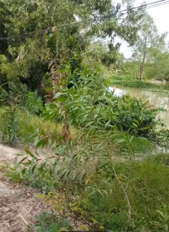 CẦN BÁN NỀN BIỆT THỰ 12X28 THỔ CƯ