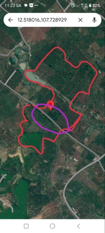 16ha sát QL14 nguồn thu khủng khiếp, nước tưới thoải mái tại Đắk Mil