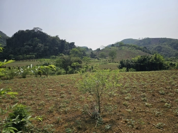 CHÍNH CHỦ bán lô đất nghỉ dưỡng 2500m2, mặt tiền dài 24m tại Kim Bôi, Hòa Bình