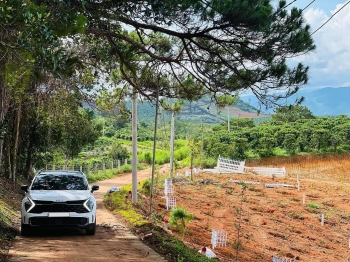 Bán gần 400m2 đất thổ cư trung tâm xã Nam Hà, giá chỉ 590 triệu, SHR