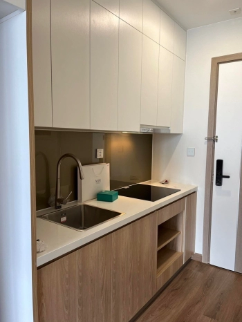 Chính chủ cho thuê căn studio 32m2 tòa I1 Imperia Smart City