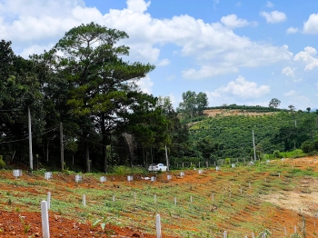 Bán gần 400m2 đất thổ cư trung tâm xã Nam Hà, giá chỉ 590 triệu, SHR