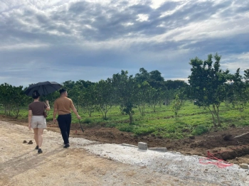 siêu sinh lời chỉ 240 triệu diện tích 163m2 giáp KCN Bảo hiệu quy mô 560ha tại yên Thủy, Hòa Bình