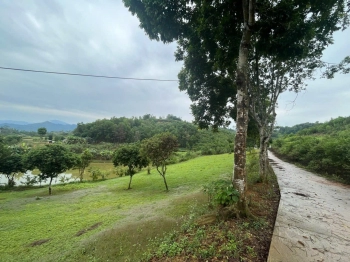 4989m2(300m2 thổ cư) Yên Bài Ba Vì. GIÁ CÓ THƯƠNG LƯỢNG. MIỄN TRUNG GIAN