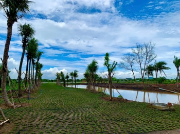 Đất nền ngay Trung Tâm Hành Chính Thủ Thừa mới