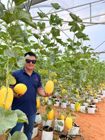 Bán nhanh lô đất Chợ Lầu giá 60k/m2