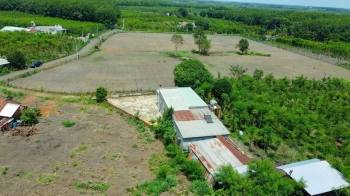 ĐẤT CHỦ NGỘP GỬI 280 TRIỆU, SỔ SẴN, ĐƯỜNG NHỰA, CÓ THỔ CƯ 100M2