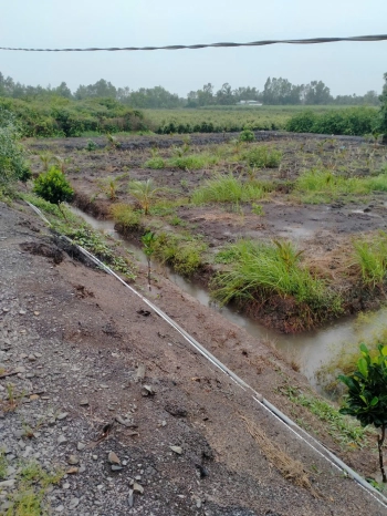 đất vườn view kênh siêu đẹp , siêu rẻ