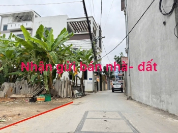 BÁN GẤP ĐẤT MẶT TIỀN KINH DOANH, TỔ 5 QUANG MINH, MÊ LINH.
