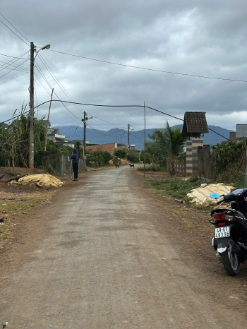 Đất Di Linh 4,6x35m2 72m thổ mt đường nhựa giá 220tr cả lô