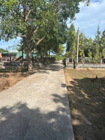 Bán Gấp 15x34(520m2) 60m2 thổ, Hẻm Ô Tô Gần Biển Cam Bình Giá Tốt