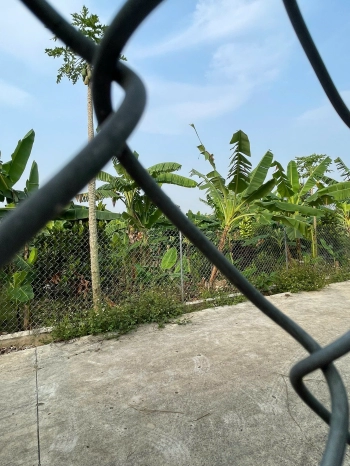 Kẹt Tiền Giá Ngộp Cần Bán Gấp Đất Vườn Gần Dầu Giây Đồng Nai 2000m2