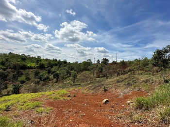 Đất Tân Thượng 10x65m 75m thổ mt nhựa săn mây giá 650tr