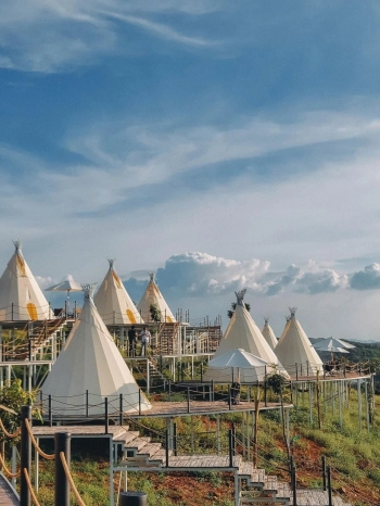 💥 Ba Mẹ Lên Thành Phố Sống Nên Bán Gấp Vườn Xoài Cổ Thụ Tại Định Quán - Đồng Nai Giá Rẻ