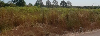 Bán đất nông nghiệp tai Trảng Bom, Đồng Nai