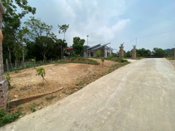 Chính Chủ Bán – Mảnh Đất tại Sóc Sơn, 3000m² (55x 55m