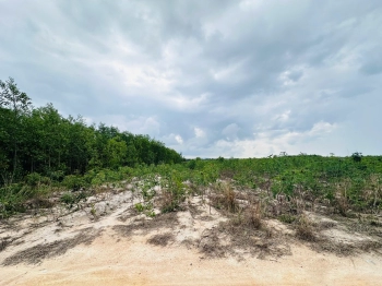 Bán 2256m2 đất Tân Bình - TX LaGi giá rẻ nhất 596tr/ sào sổ riêng