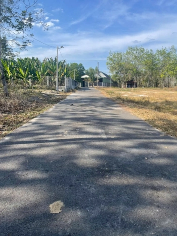 Cần bán gấp để trả nợ đất ngay mặt tiền