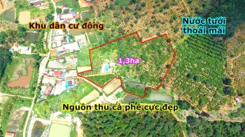 Bán rẫy trung tâm tp giá rẻ lên thổ cư được