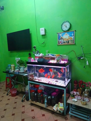 CẦN BÁN NHÀ LƯU HỮU PHƯỚC PHƯỜNG 15 QUẬN 8