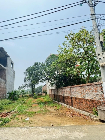 Mảnh đất Trại Hồ Cổ Đông chỉ dành cho nhà đầu tư đường thông rộng 109m nhỉnh 3ty