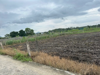 💥 Siêu Phẩm Full Thổ Cư 6x30 – Giá Chỉ 500 Triệu – Hiếm Khó Tìm Tại LaGi