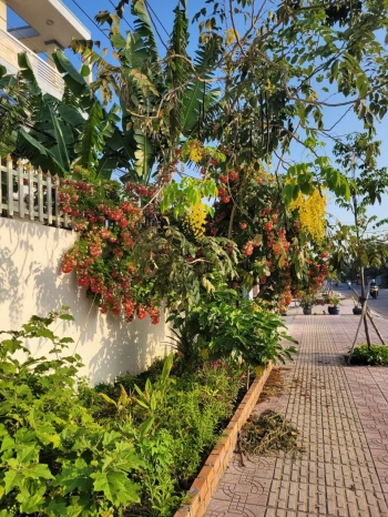 BÁN NHÀ ĐẤT NGHỈ DƯỠNG 1110M2 MẶT TIỀN GẦN TRUNG TÂM TP. TÂN AN 1.6KM, SHR, 15TỶ