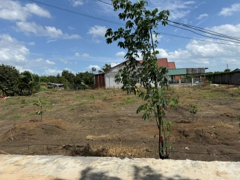 Chính Chủ Cần Bán Đất Thị Xã Phú Mỹ - Bà Rịa Vũng Tàu