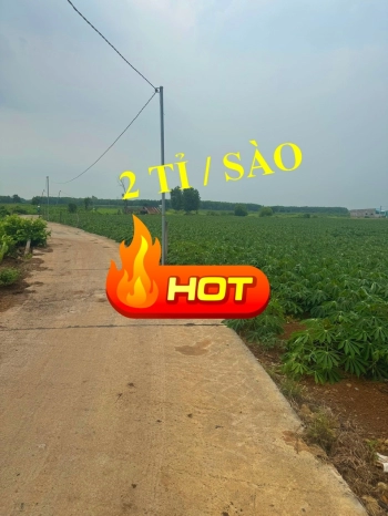 Bán đất xã Láng dài - Bà Rịa Vũng Tàu