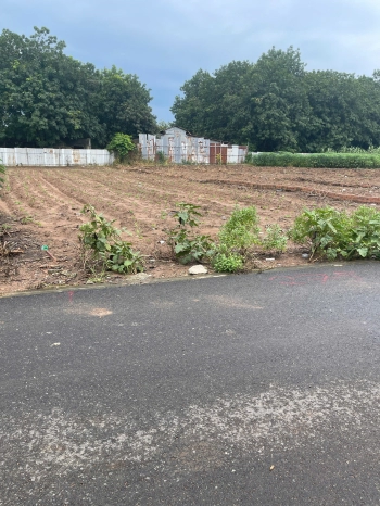 BÁN ĐẤT MẶT TIỀN ĐƯỜNG NHỰA CÁCH DH507 CHỈ 100M GIÁ 690 TRIỆU