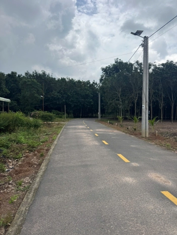 BÁN ĐẤT Ở MẶT TIỀN ĐƯỜNG NHỰA NGAY PHƯỚC THÀNH TP HCM Giá 650 triệu