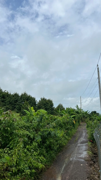 ĐẤT NÔNG NGHIỆP + 10826,8 m2 + LONG KHÁNH. ĐỒNG NAI