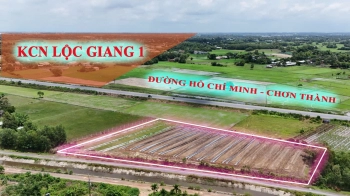 Mặt tiền đá xanh 9m, cách đường Hồ Chí Minh 50m, đối diện KCN Lộc Giang Đức Hòa, giá 60tr/1 ngang.