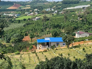 Bán 196m2 đất Nam Ban chỉ 660 triệu, vị trí ngay chính giữa Đà Lạt & sân bay