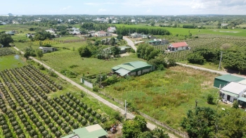 12x60(720m2) Nguyễn Minh Châu Tân Tiến Gần Biển Giá Cực Rẻ