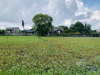 5x30(146m2) Full Thổ Cư, Hẻm Lê Minh Công Tân Phước LaGi Gần Biển Giá 1 Tỷ