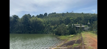 Rẫy view hồ tự nhiên giá rẻ, nguồn thu mạnh, oto vào tận nơi, đông dân cư