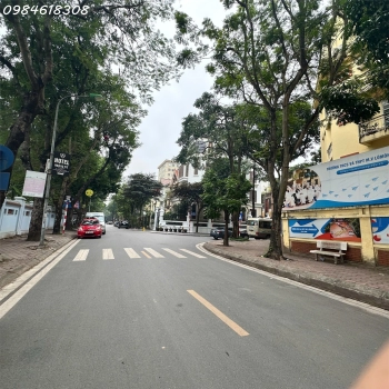 Bán biệt thự Mỹ Đình 200m2 hướng Đông nhà đẹp mặt phố ô tô tránh vỉa hè