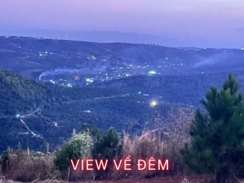 Rẫy view rừng thông đẹp giá rẻ tại Trường Xuân Đắk Song Lâm Đồng