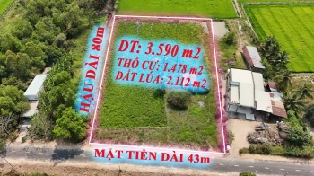 Siêu phẩm biệt thự view sông vàm cỏ tại trung tâm huyện Đức Huệ, Long An