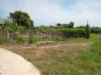 1868m2 Nhà Vườn Sẵn Nhà Cấp 4 Sổ Riêng Đường Ô Tô Giá 1,5 Tỷ Gần Biển